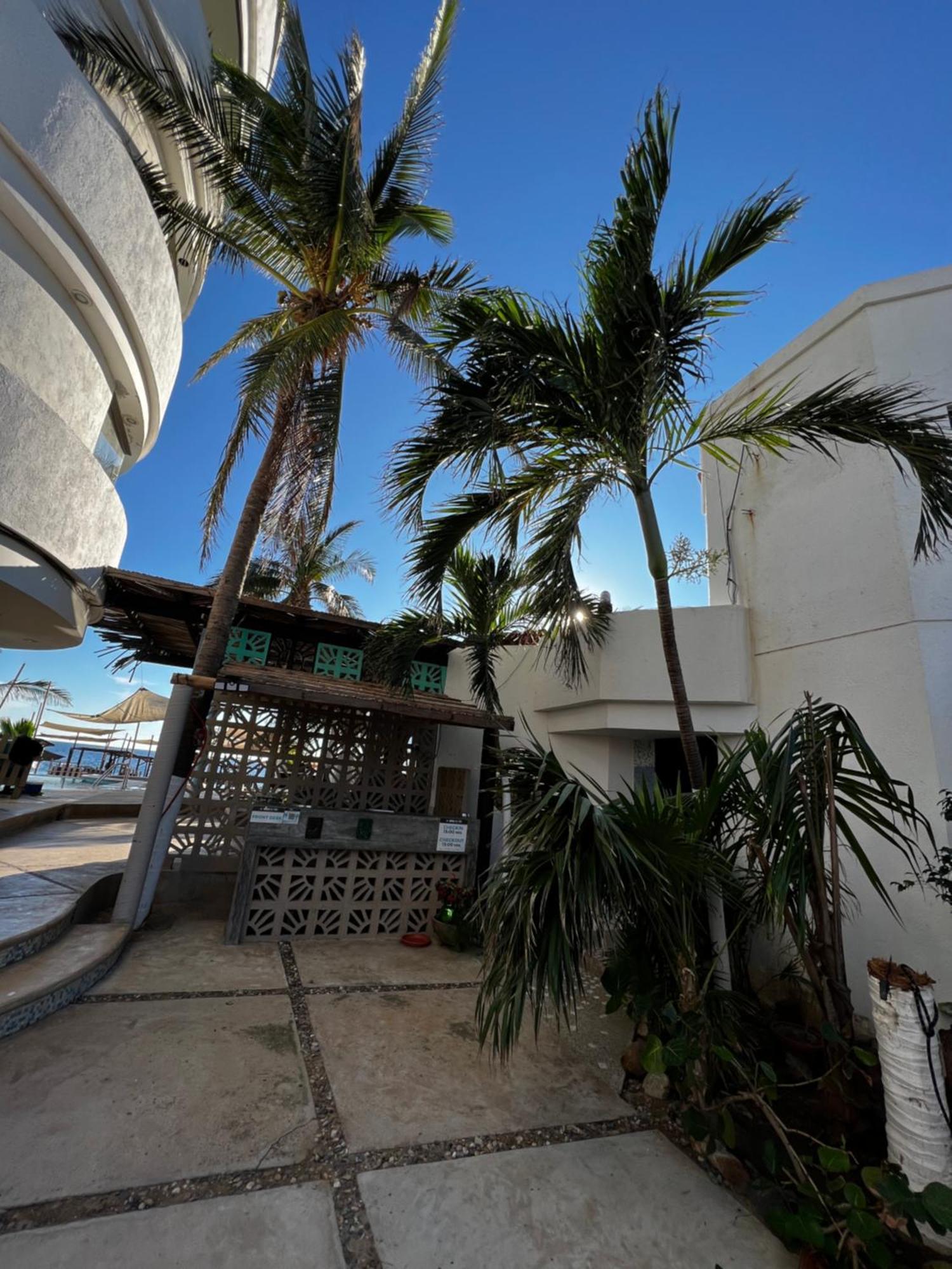 Condominio Agave Del Mar Coyuca de Benitez Exteriör bild